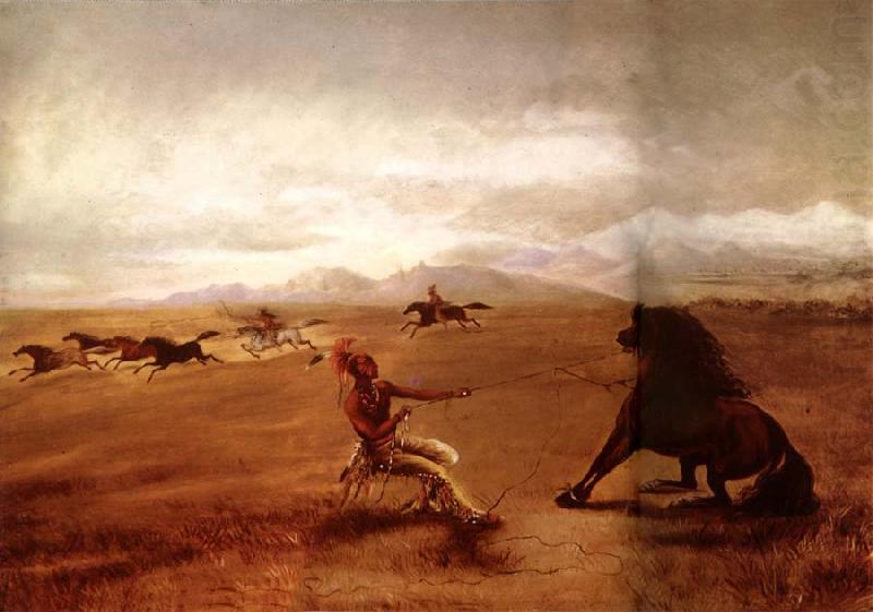 George Catlin Catching wild horses china oil painting image